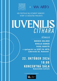 Gitarový koncert